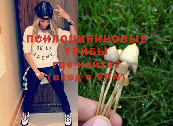 PSILOCYBIN Слюдянка