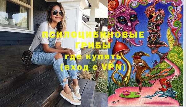 спиды Снежногорск