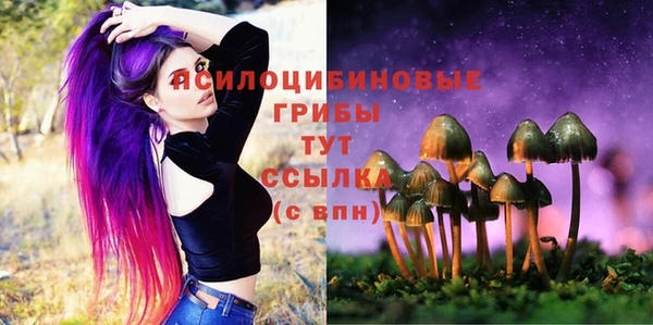 спиды Снежногорск